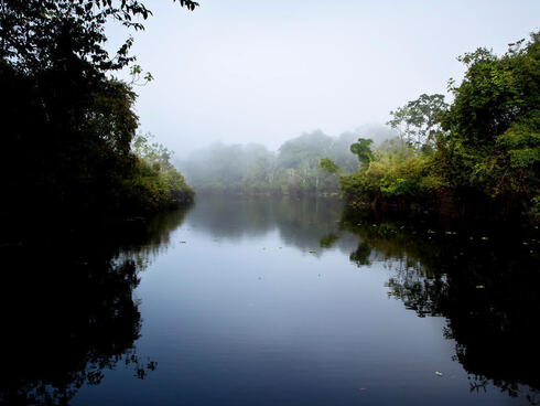 Body of water at the Pacaya Samira Reserve in the Peruvian Amazo