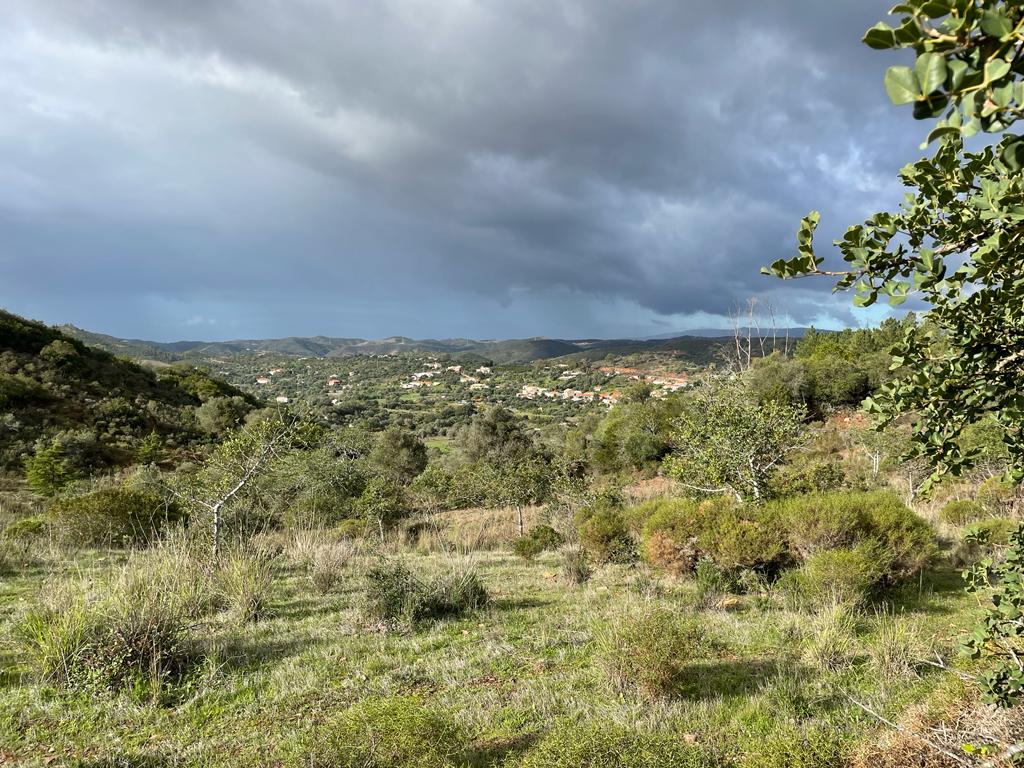 IMG-20231202-WA0000 - Copy