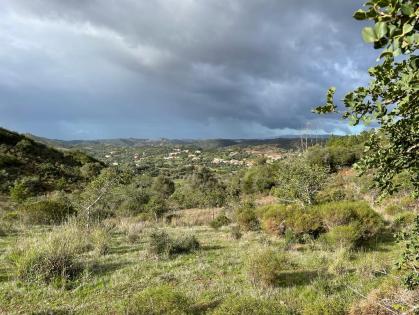 IMG-20231202-WA0000 - Copy