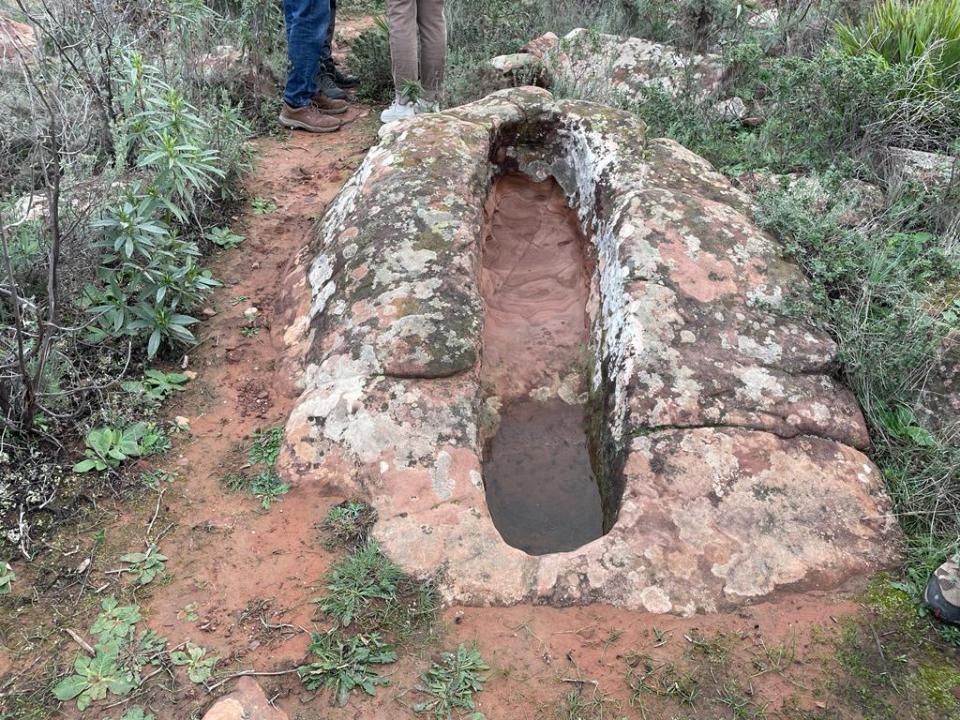 IMG-20231202-WA0016 - Copy