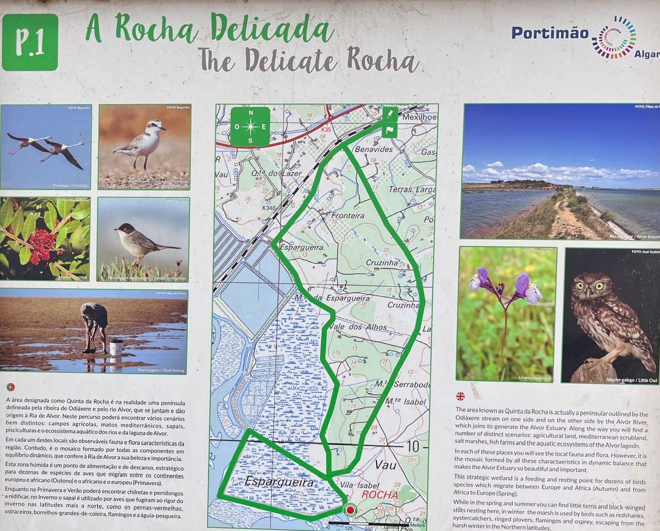 Map Rocha Delicate
