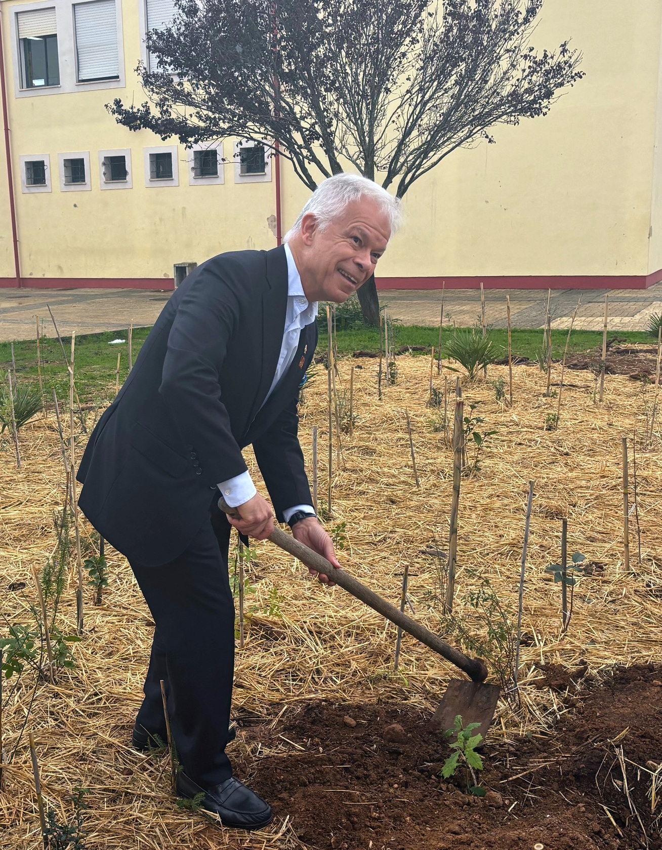 Governor planting tree 1